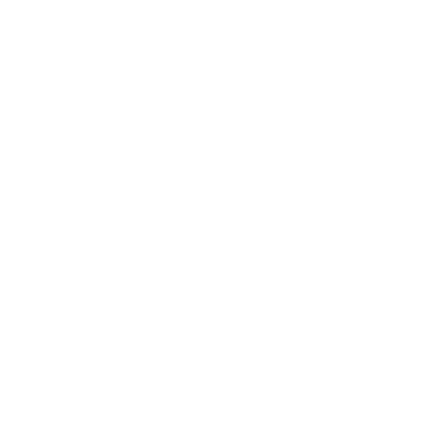 Live Website for Your Library